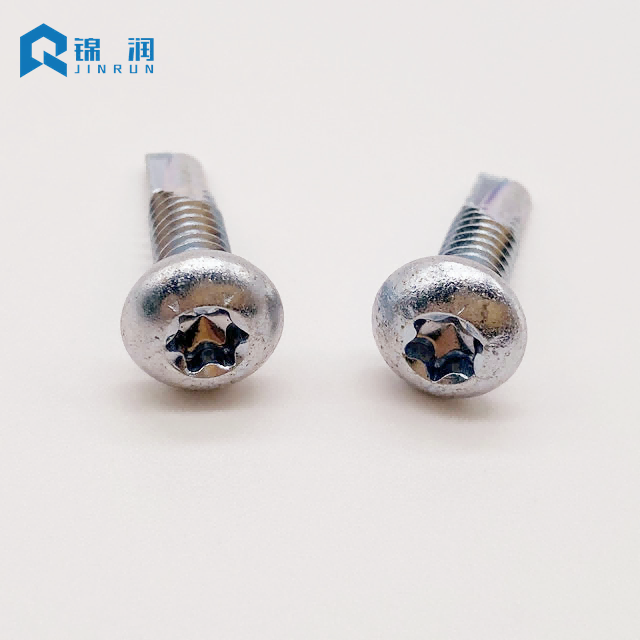 Pan Head Torx Self Drilling Screw