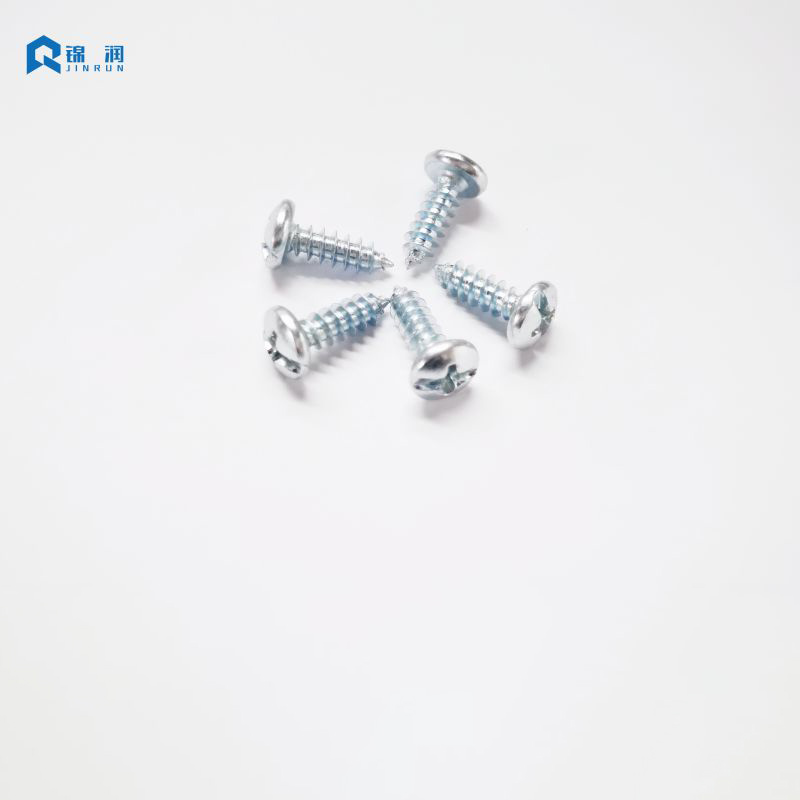 Pan Head Slotted And Phillips Self Tapping Screw